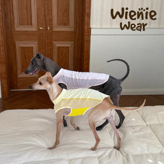 Lightweight Breathable Dog Cooling Vest for Summer