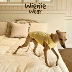 Lightweight Breathable Dog Cooling Vest for Summer