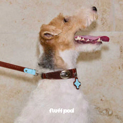 Genuine Leather Dog Collar and Leash Set with Premium Metal Hardware