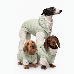 White Duck Down Dog Puffer Jacket for Winter