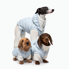 White Duck Down Dog Puffer Jacket for Winter