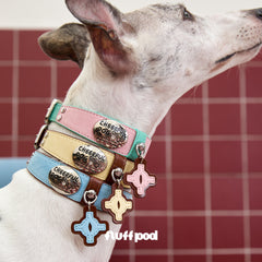 Genuine Leather Dog Collar and Leash Set with Premium Metal Hardware
