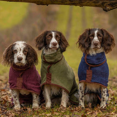 Multiple dogs wearing absorbent pet bathrobes