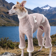 Blush pink tweed turtleneck onesie for italian greyhound, outdoor lake scenery