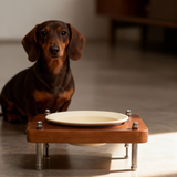 Adjustable height wooden raised dog bowl feeder for small puppy dachshund, cream ceramic food bowl
