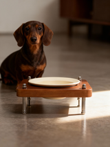 Adjustable height wooden raised dog bowl feeder for small puppy dachshund, cream ceramic food bowl