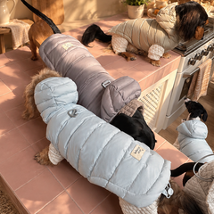 Top view of dogs wearing pastel duck down vests