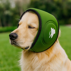 A dog wearing green PawHavens calming ear muffs designed to provide comfortable ear coverage and help reduce noise in stressful environments.