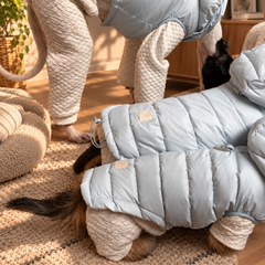Close-up of the quilted outer layer and padded dog vest design