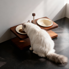 Ergonomic elevated wood cat feeding stand, longhair cat eating from cream ceramic bowl