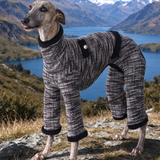 Black tweed four legged dog jumpsuit on whippet, mountain lake background, luxury sighthound clothing