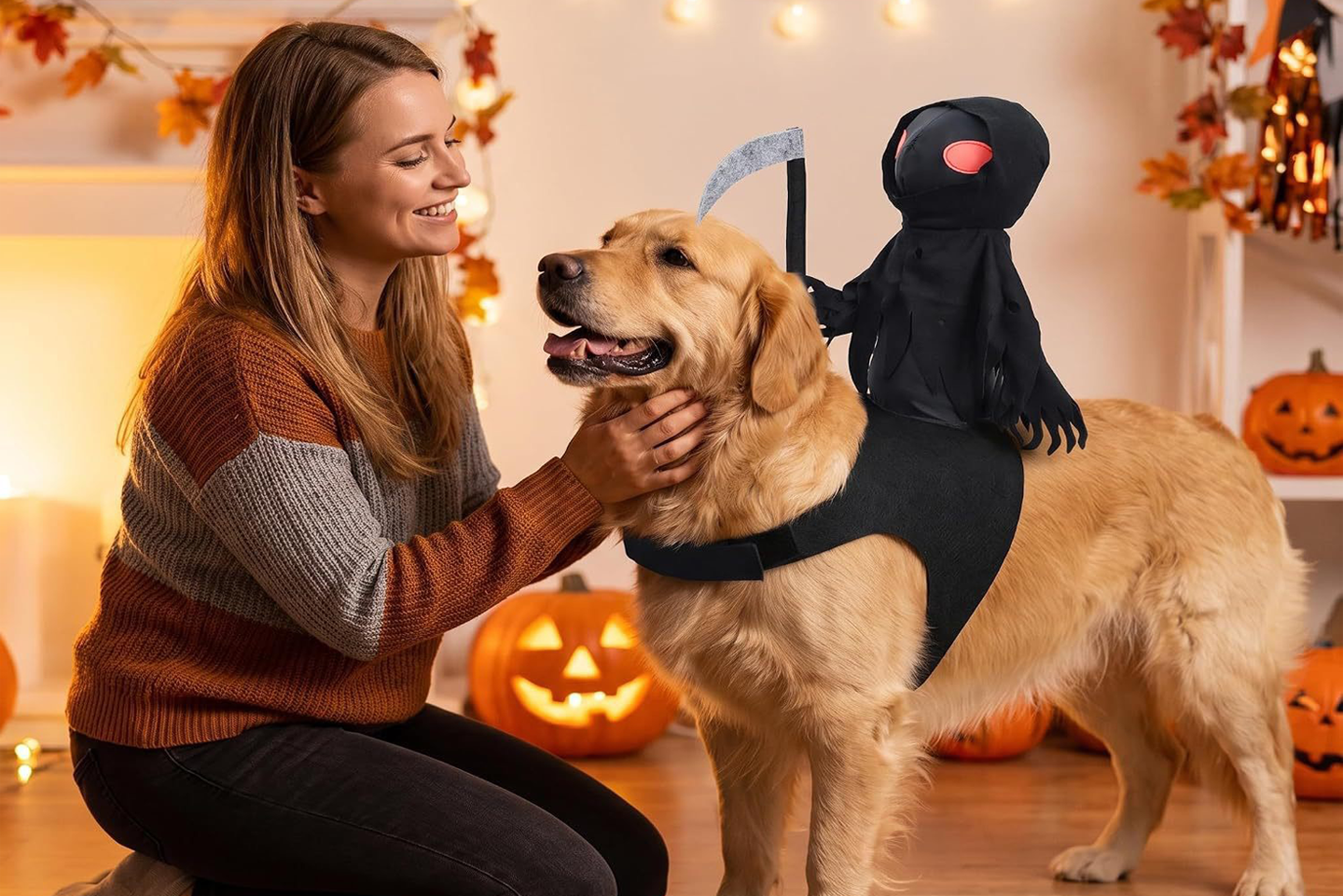 Halloween Costumes for Dogs and Cats: 10 Fun Ideas to Dress Up Your Pet