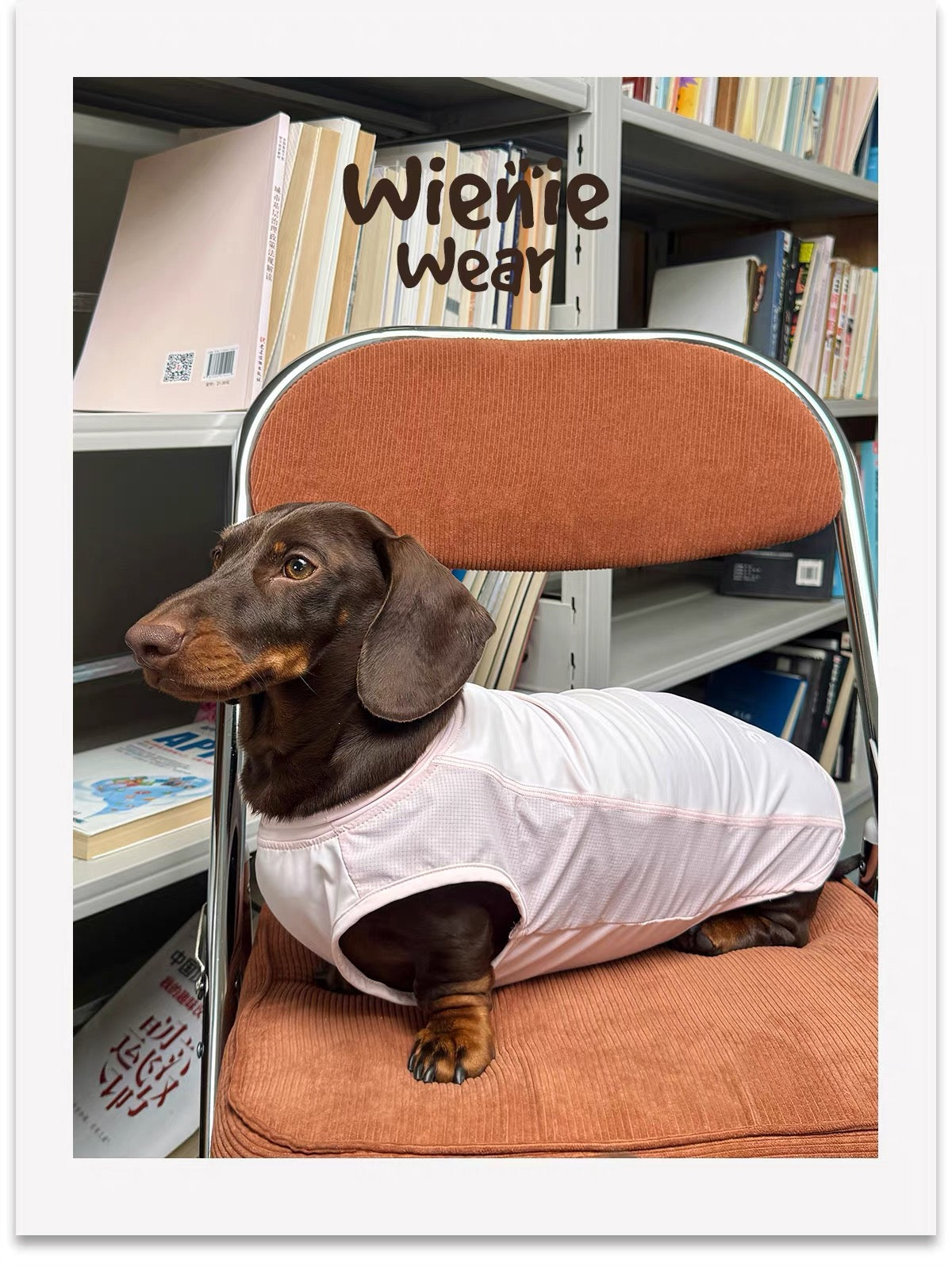 Lightweight Breathable Dog Cooling Vest for Summer