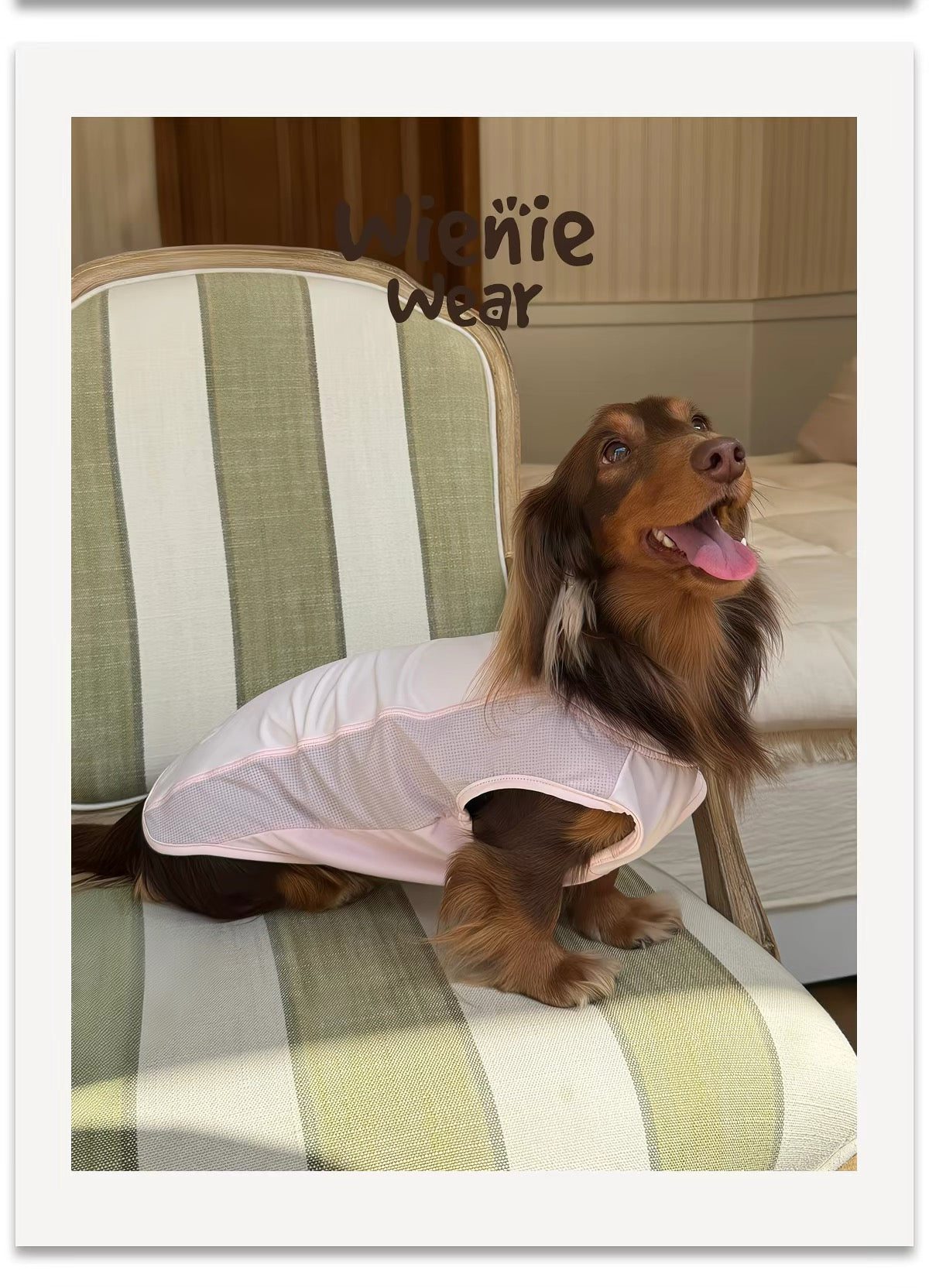Lightweight Breathable Dog Cooling Vest for Summer