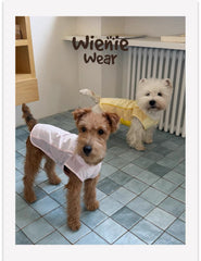 Lightweight Breathable Dog Cooling Vest for Summer