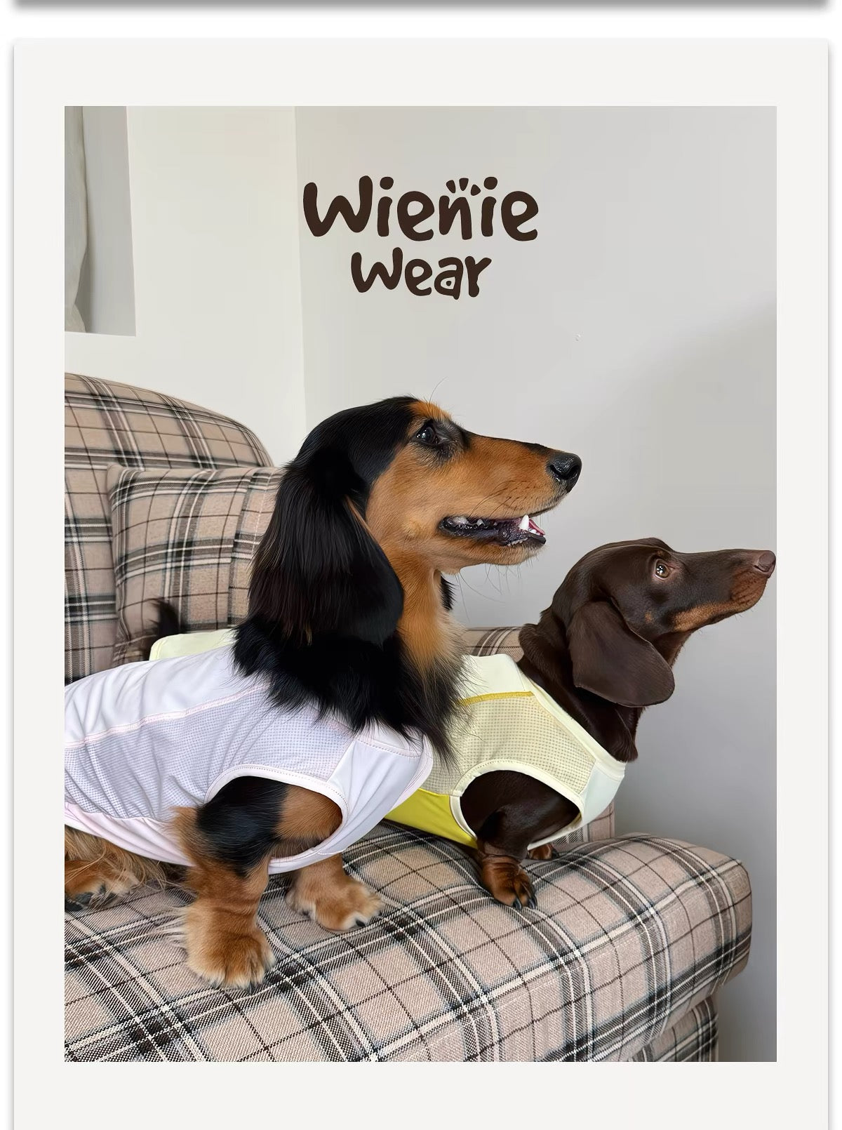 Lightweight Breathable Dog Cooling Vest for Summer
