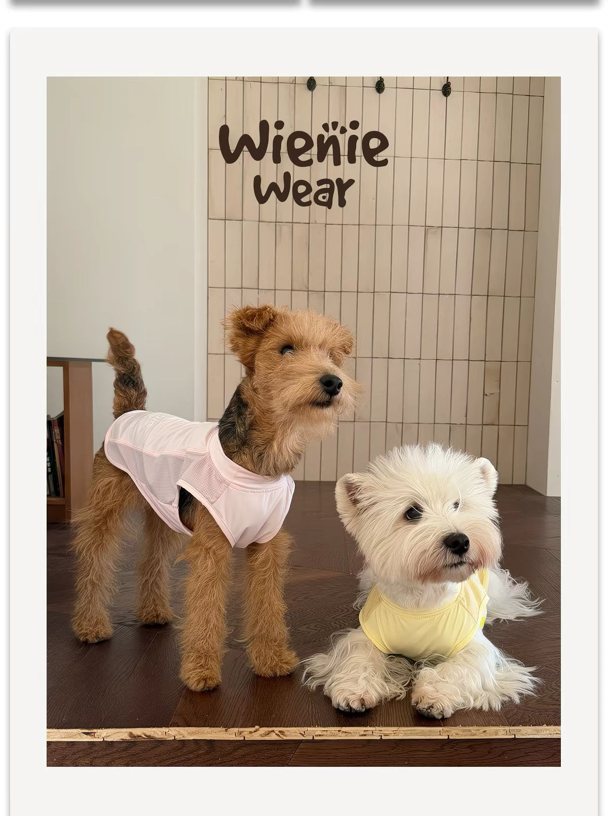 Lightweight Breathable Dog Cooling Vest for Summer