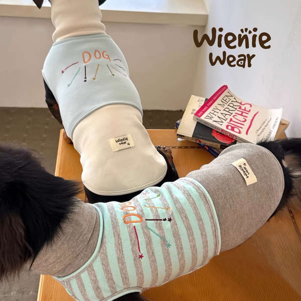 PawHavens Striped Star Embroidered Dog Shirt – Soft Casual Dog Clothes