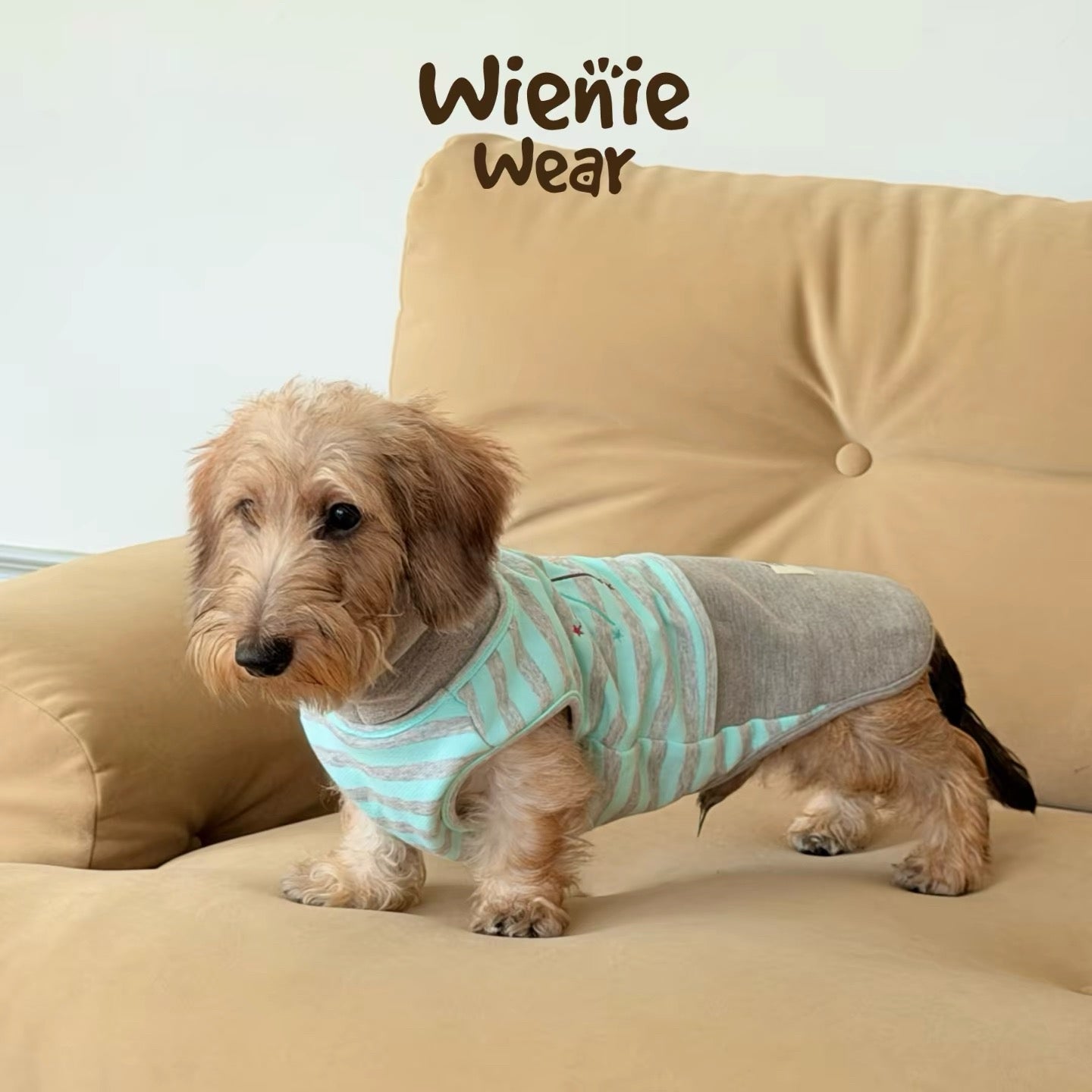 PawHavens Striped Star Embroidered Dog Shirt – Soft Casual Dog Clothes