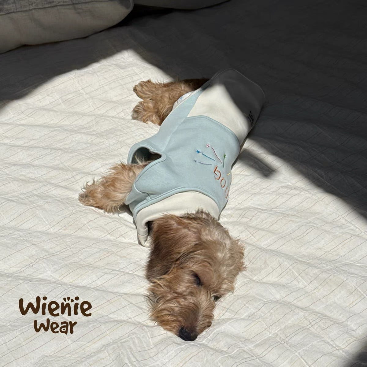 PawHavens Striped Star Embroidered Dog Shirt – Soft Casual Dog Clothes