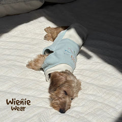 PawHavens Striped Star Embroidered Dog Shirt – Soft Casual Dog Clothes