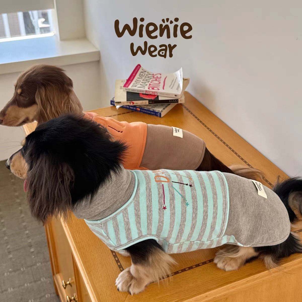 PawHavens Striped Star Embroidered Dog Shirt – Soft Casual Dog Clothes
