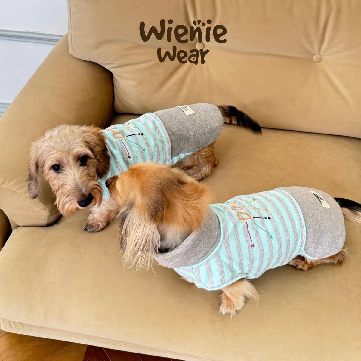 PawHavens Striped Star Embroidered Dog Shirt – Soft Casual Dog Clothes