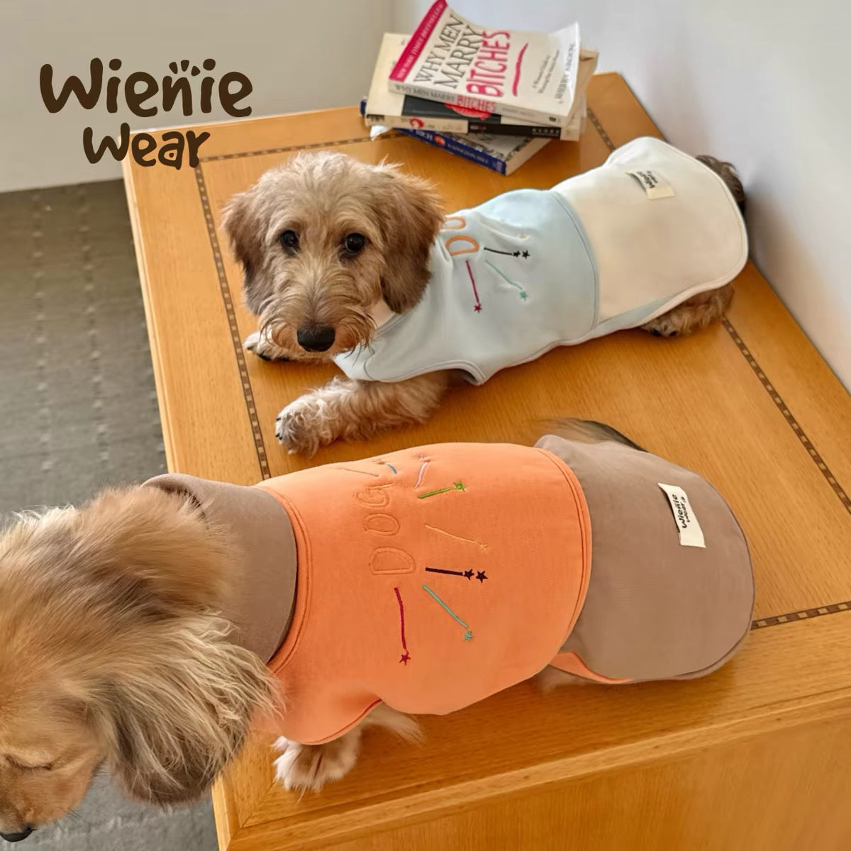 PawHavens Striped Star Embroidered Dog Shirt – Soft Casual Dog Clothes