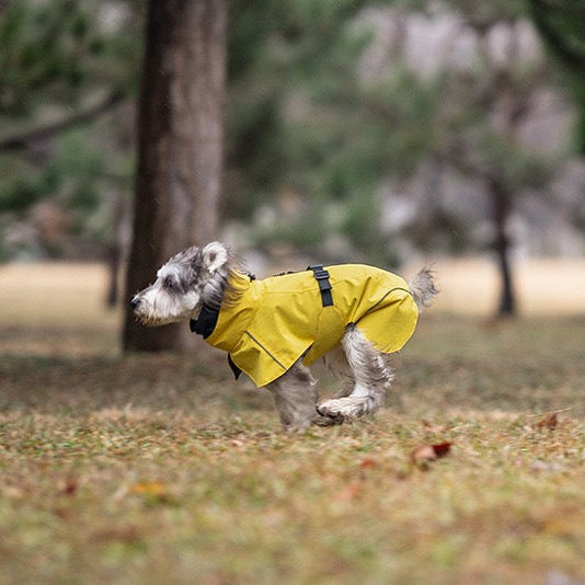 Full Coverage Dog Raincoat with High Collar and Reflective Trim