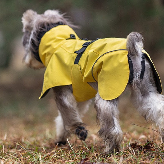 Full Coverage Dog Raincoat with High Collar and Reflective Trim