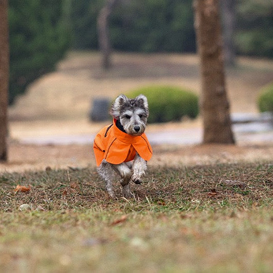 Full Coverage Dog Raincoat with High Collar and Reflective Trim