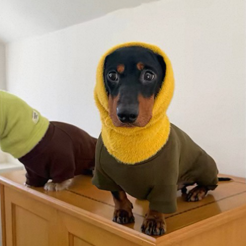 Dachshund Dog Pajamas Fleece Full Body Jumpsuit Warm Neck Warmer Four Legged Outfit for Miniature Dachshund