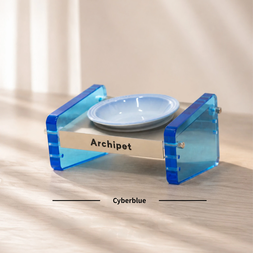 Archipet Cyberblue translucent acrylic raised cat feeder with light blue ceramic bowl, adjustable pet food stand on wooden table, minimalist home aesthetic pet product