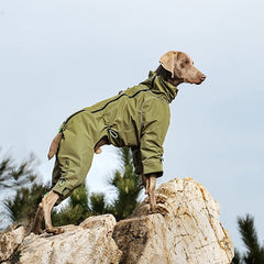 Weimaraner model in olive green full coverage four legged dog winter coat, high collar windproof dog jacket for hiking and walking