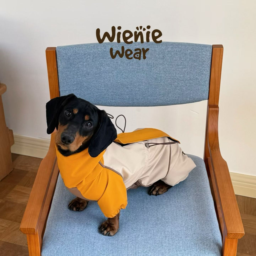 Color block waterproof dog raincoat for dachshund, orange and beige four legs jacket with built-in leash attachment, outdoor dog outerwear