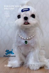 Luxury white pearl dog collar necklace with oval emerald green crystal pendant, pet jewelry for small dogs, dark background with green plant decor