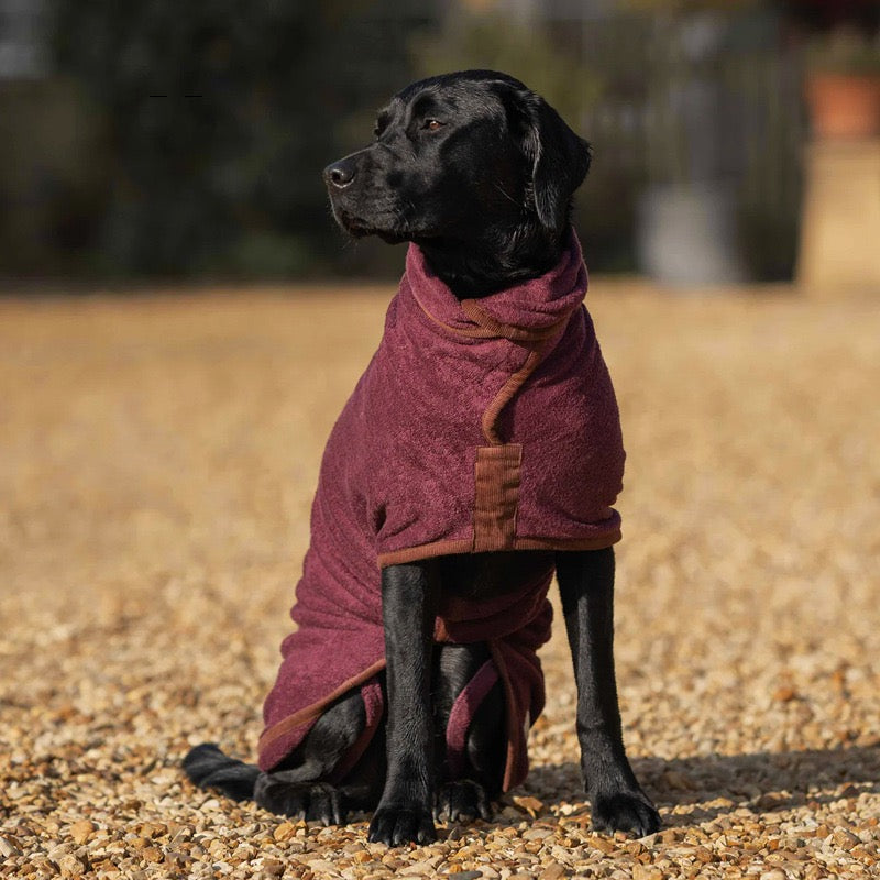 Dog wearing an absorbent bathrobe outdoors