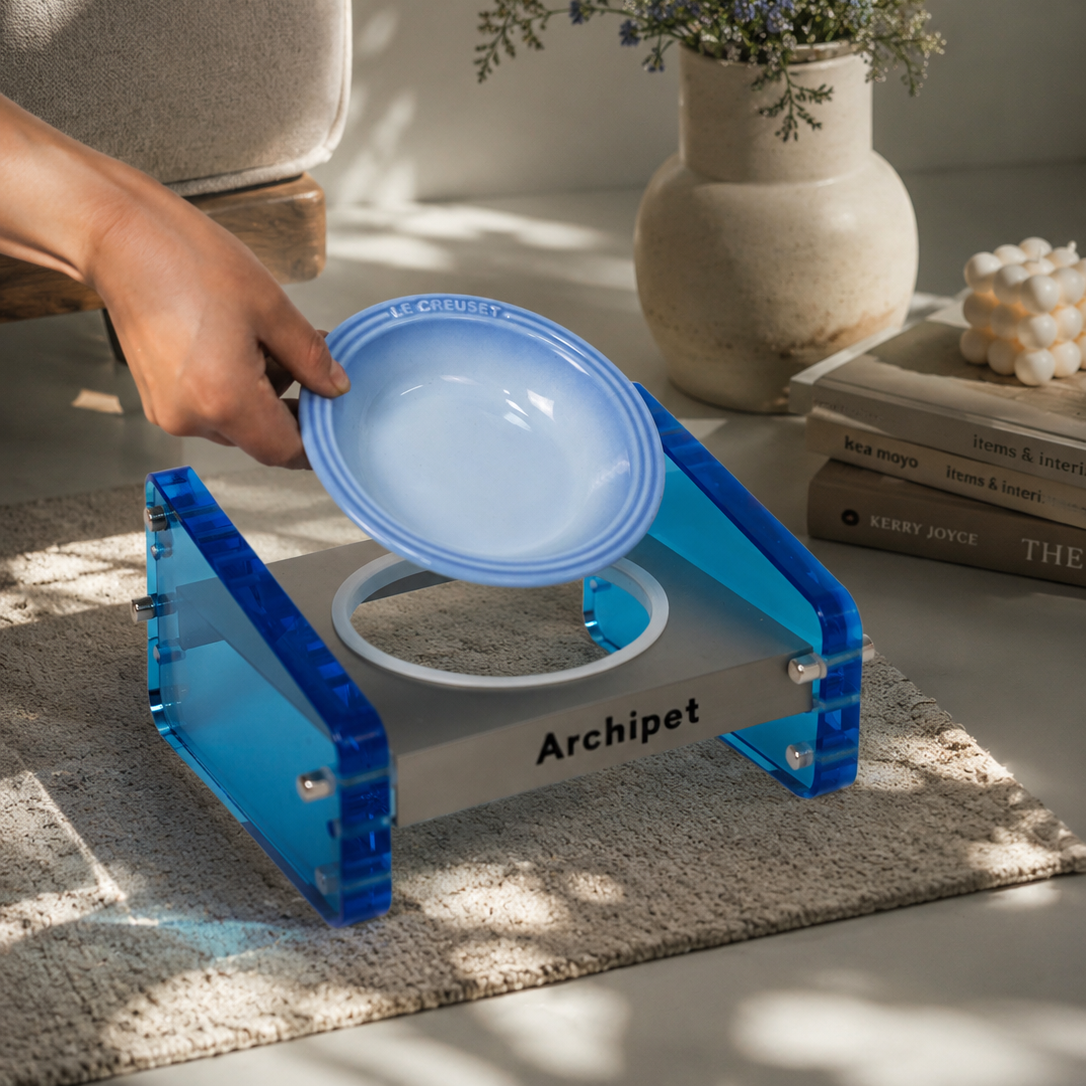 Archipet blue acrylic elevated pet bowl stand with gradient blue ceramic cat bowl, modern decor on carpet in cozy living room