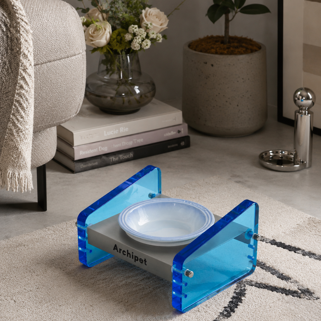Archipet transparent blue acrylic elevated cat bowl set with light blue ceramic bowl, stylish pet feeding station on rug beside sofa