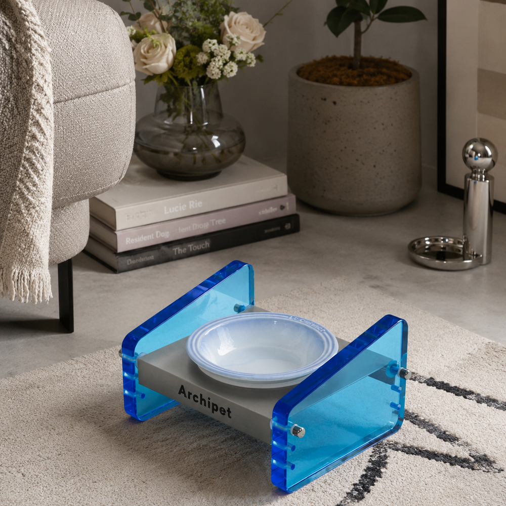 Archipet transparent blue acrylic elevated cat bowl set with light blue ceramic bowl, stylish pet feeding station on rug beside sofa