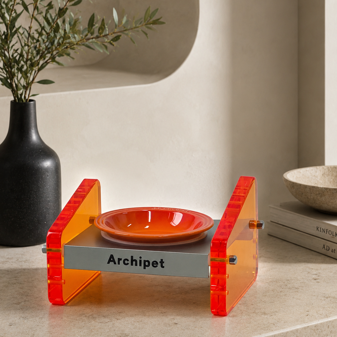 Archipet orange translucent acrylic elevated cat bowl stand with orange ceramic bowl, modern stylish pet feeder on beige countertop in minimalist living room
