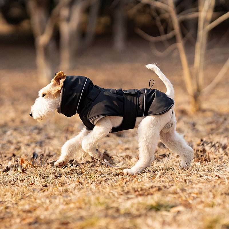 Black thick dog cold weather jacket on terrier dog outdoor