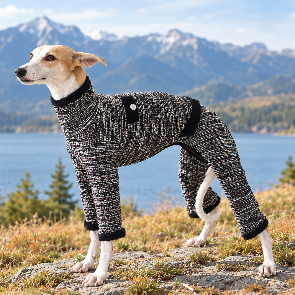 Black tweed turtleneck jumpsuit on italian greyhound, outdoor mountain lake scene