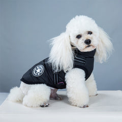 Small white dog wearing a black windproof winter dog jacket