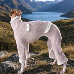 Back view of blush pink tweed four legged suit for whippet dog