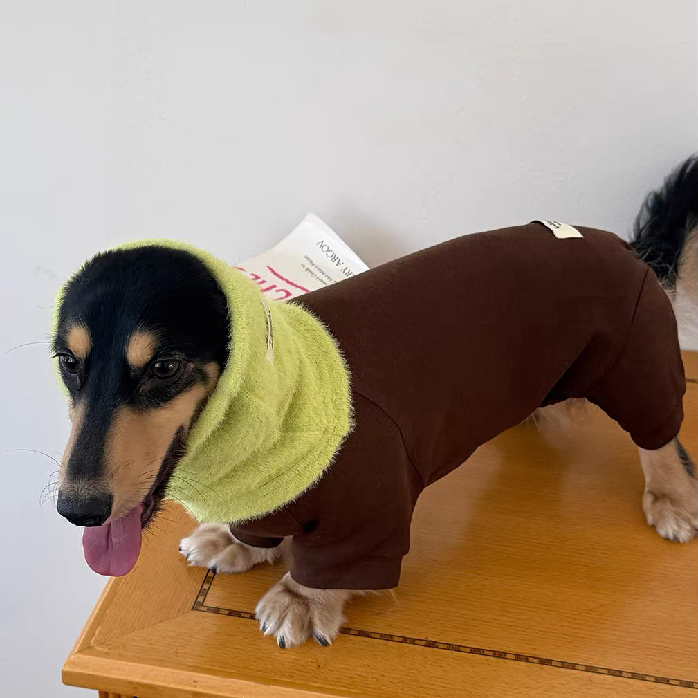 Dachshund in brown four legged fleece jumpsuit with green fuzzy neck snood dog onesie outfit