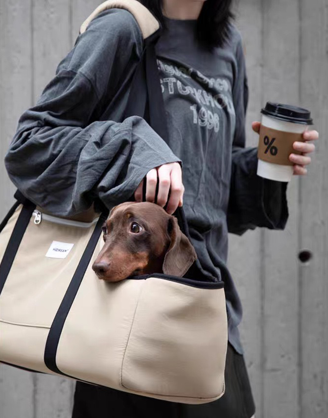 Small Dog & Cat Carrier Bag – Extended Travel Tote with Supportive Cushion | PawHavens