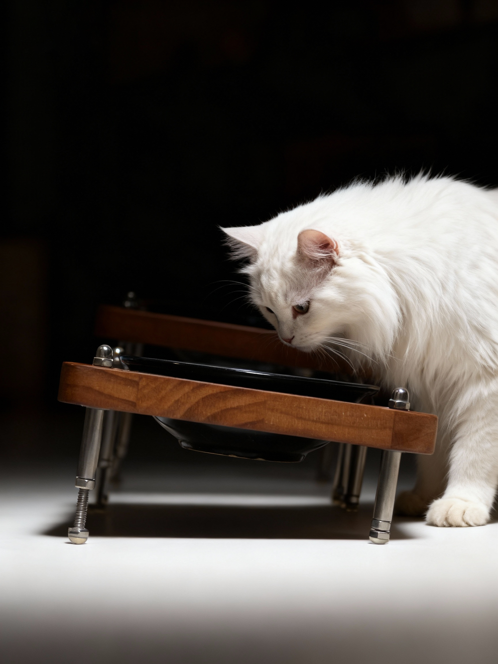 Minimal studio photo of elevated wooden cat bowl stand with glossy black ceramic dish, fluffy white cat eating