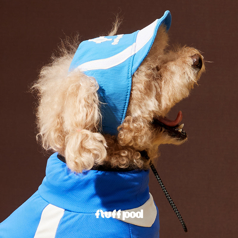 Terrier dog wearing glacier blue adjustable dog sun baseball cap on warm yellow background, pet summer hat