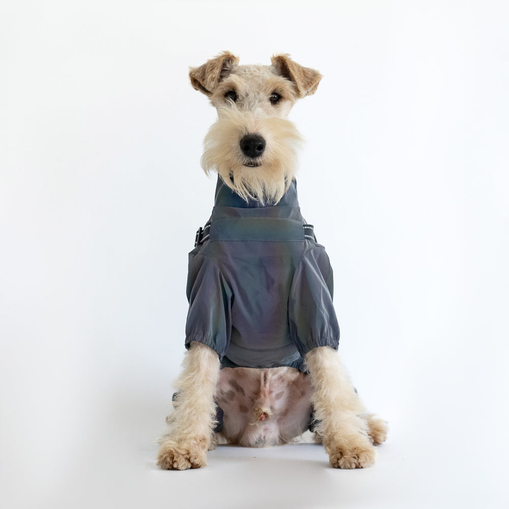 Grey full body dog rain suit with harness for small to large dogs